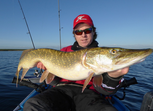 De eerste meter ( 103 cm) snoek van 2016 is binnen en gevangen op 18 meter diepte !! ) 