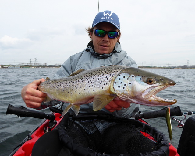 De Goby lepel van Westin werpt als een kogel en heeft een fantastische actie waar de forel simpelweg niet vanaf kan blijven. )