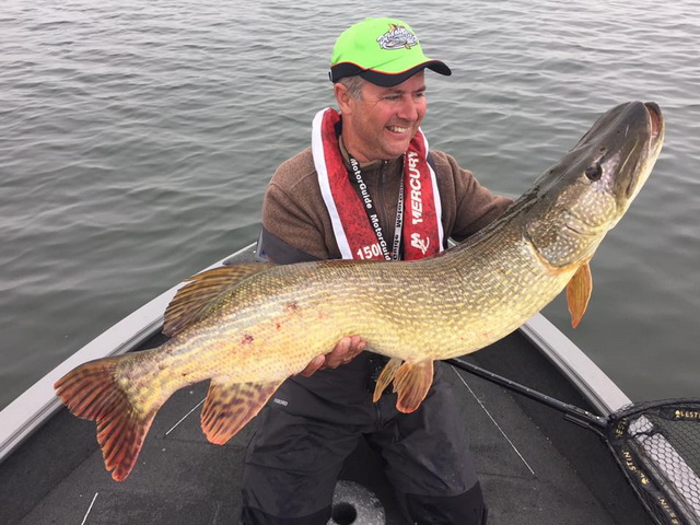 Big Pike 123cm