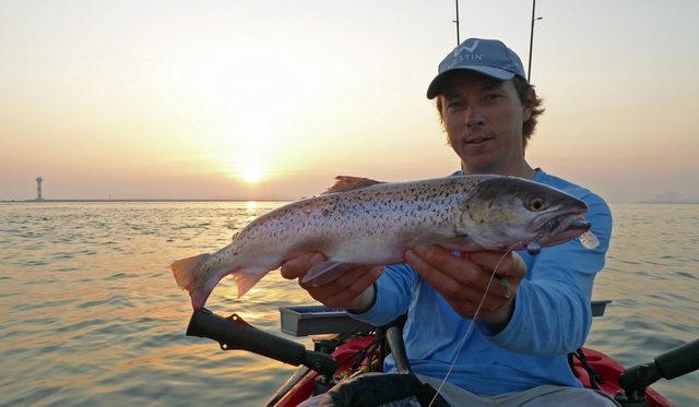 Supervangst! een heuse zeeforel van 52 cm