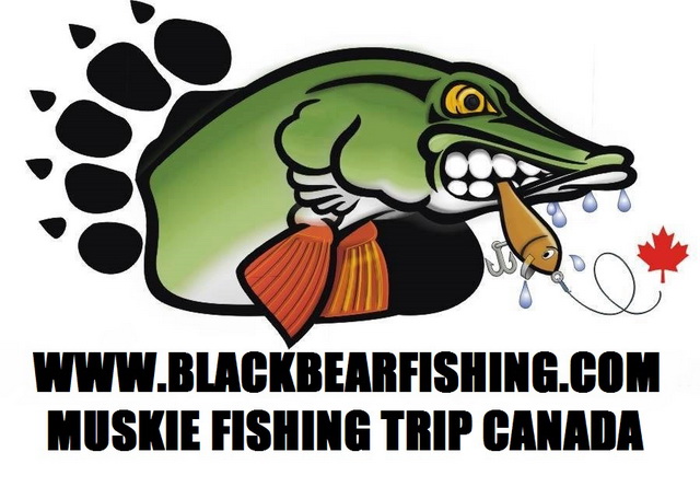 Black Bear Camp Canada sponsors a Musky/Muskie fishing trip for 1 team of 2 persons. Including 7 overnights with 7 days fishing from a fast fully equipped fishing boat fully gassed and ready to go.  Also includes breakfast, good filling lunch, evening dinner, fishing licence, tax of 13% www.blackbearfishing.com  