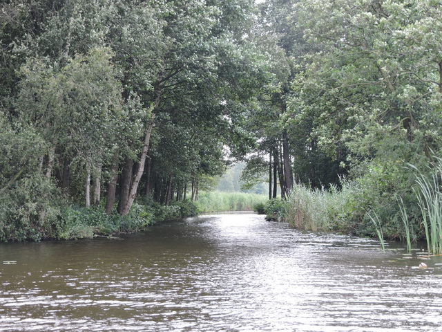 In de zomer spot ik mijn stekjes al.