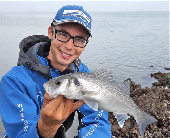 Ook de kleinere zeebaarzen vergissen zich regelmatig in een softbait.