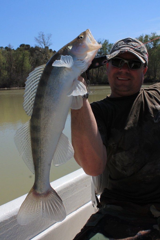 foto-catfish-camp-caspe1