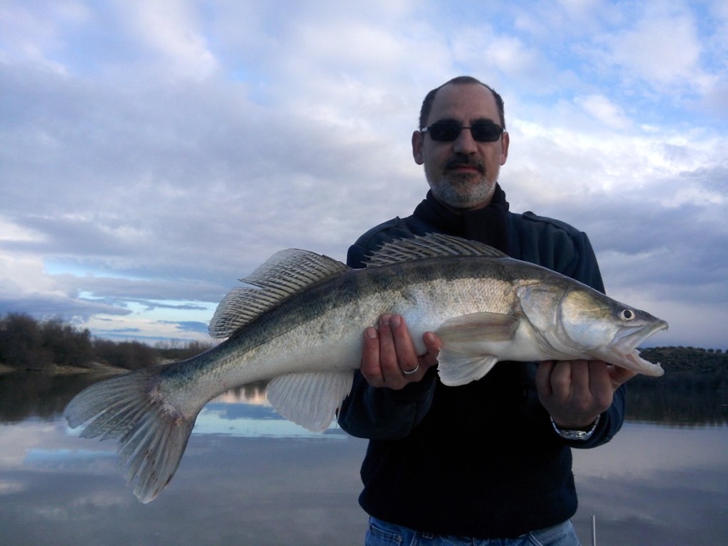 foto-catfish-camp-caspe2