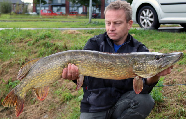 Kees met een mooie meter snoek.