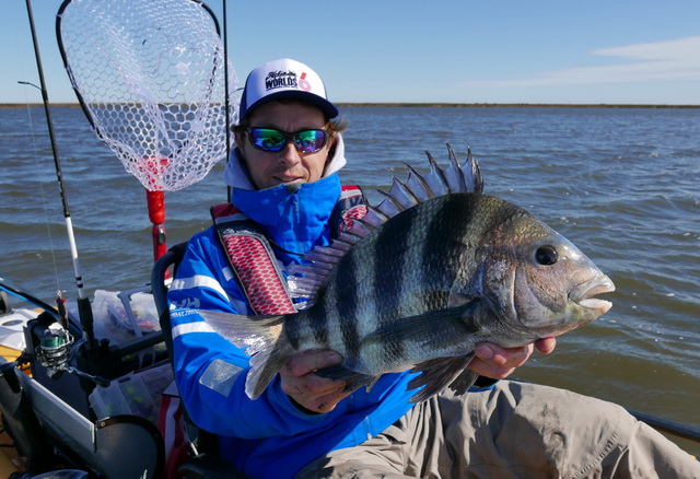 Weliswaar niet één van de target vissen voor de wedstrijd maar wel blij met deze voor mij nieuwe soort de Sheepshead