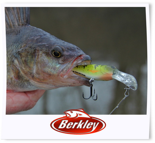 De nieuwe kleine hardbaits van Berkley.