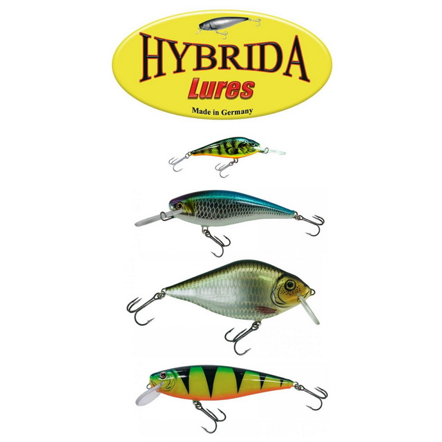 hybrida-compleet
