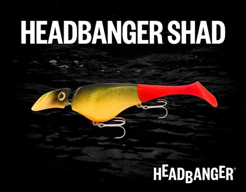 Maak kennis met ons nieuwe model. De HeadBanger Shad.