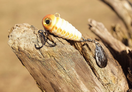 SpinMad Nieuws. De Crazy Bug.