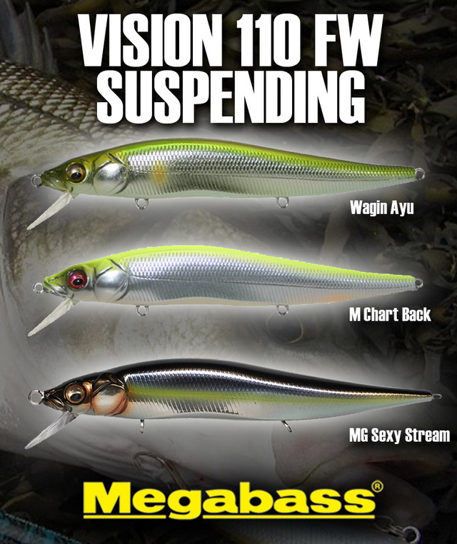 vision110fwsuspend