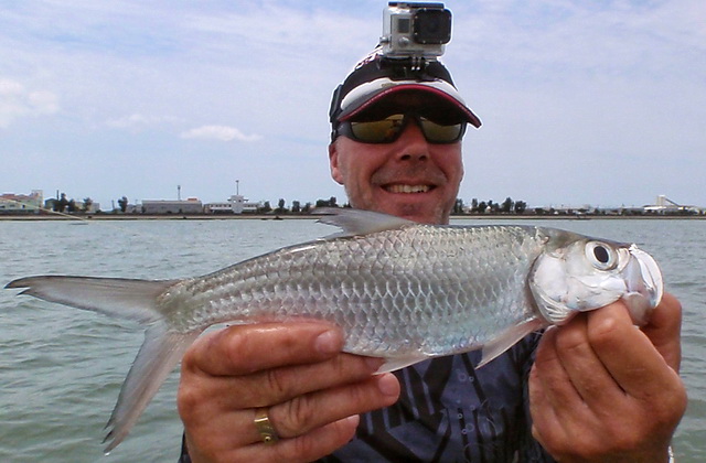 nooit-op-gerekend-een-tarpon