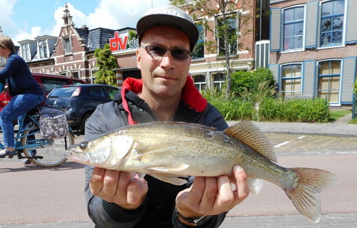 Wedstrijdkalender seizoen 2017-2018 Streetfishing Nederland