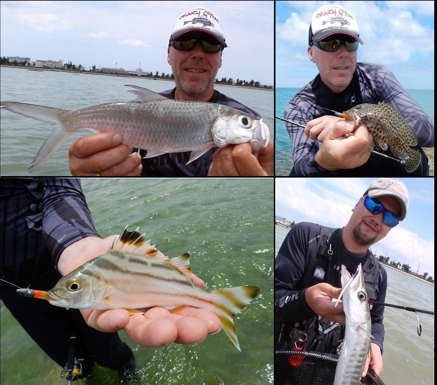 Tarpon, Grouper, Grunter en Baracuda