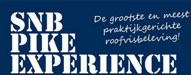 pike-experience-flyer-logo