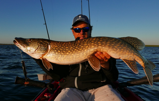 De Lively Roach kleur doet het super op helder water (hier gerigd met de shallow screw).