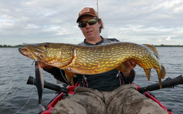 De beste snoek (97 cm) die tijdens de voorbereiding naar boven kwam. Gevangen bij een onderwater bergje met 15 meter water er om heen. (Westin Shad Teez 22cm in de kleur Salted Herring)