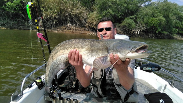 foto-catfish-camp-caspe2