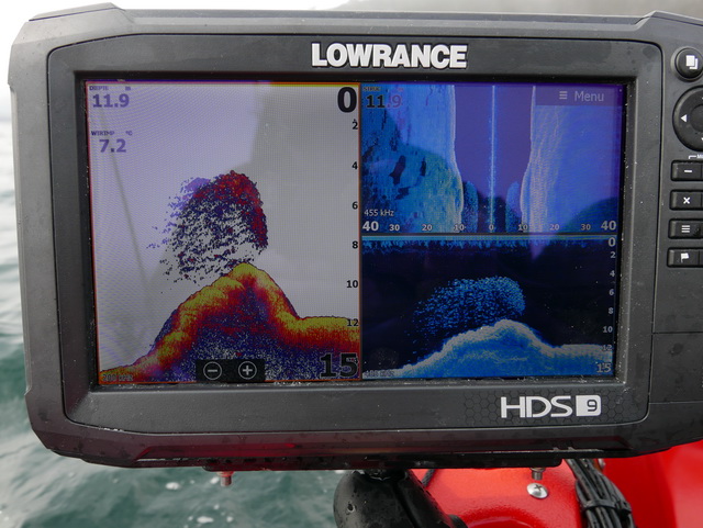De Lowrance HDS 9 Carbon geeft perfect de situatie onderwater weer. Een klein bergje met de nodige aasvis erboven in de vorm van kleine koolvis.