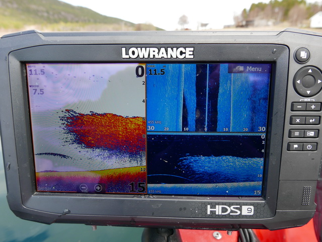 Haring gevonden dankzij de Lowrance HDS 9 Carbon. Waarop ook mooi te zien is dat er ook een rover bij zwemt in dit geval een flinke koolvis.