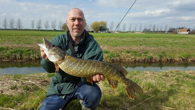 Mooie snoek uit klein polderwater.