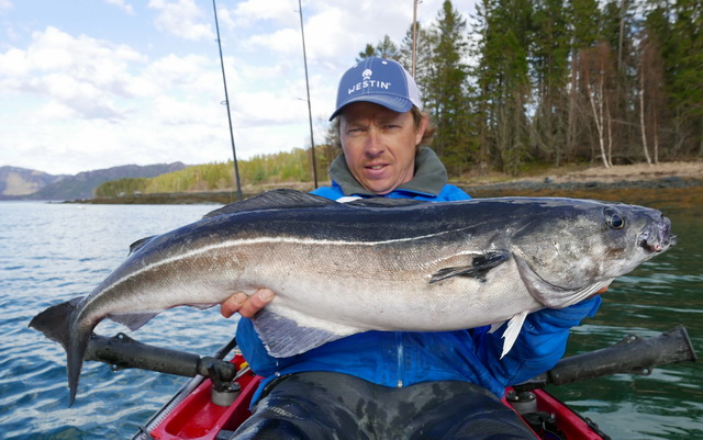 Met zulk formaat koolvissen (105 cm) is de baai al snel omgedoopt tot de bay of monsters.