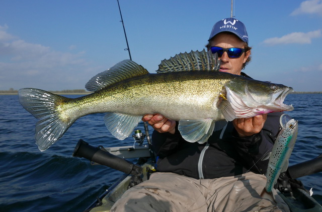 Nog een fraaie 70+ cm snoekbaars op Tommy The Trout.