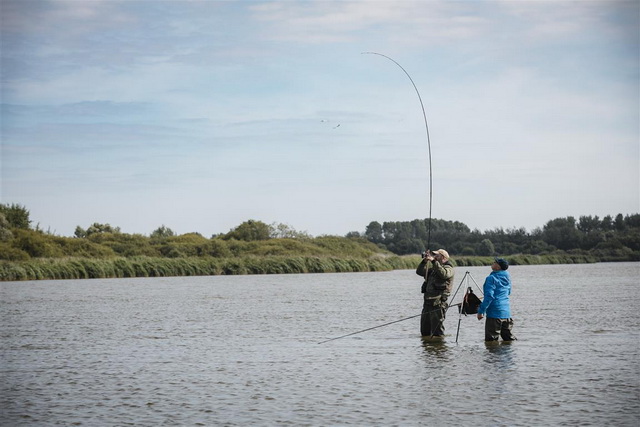 Kromme hengels in het Lauwersmeer.