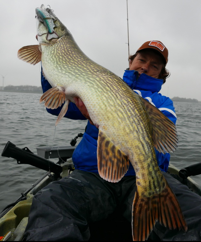 Een prachtige najaars snoek van 111 cm op een slepend geviste Tommy the Trout