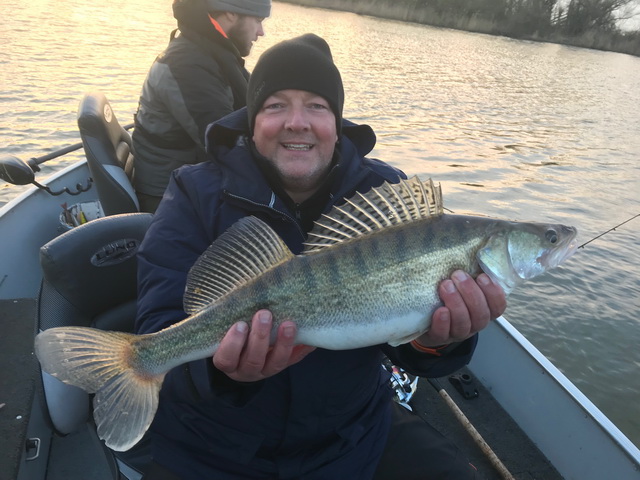 Sterke en kerngezonde snoekbaarzen te over!