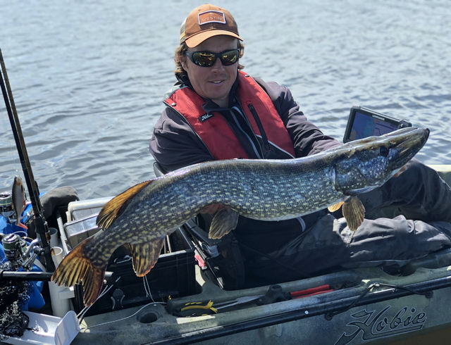 Een 100 cm en 103 cm gevangen tijdens de eerste wedstrijd dag van de East Coast Kayak Challange in Zweden.