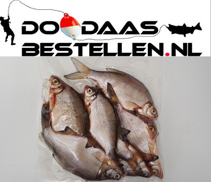 Doodaasbestellen.nl – Uw aasvis leverancier