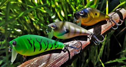 Review Berkley Flicker shad, WakeBull en de Choppo