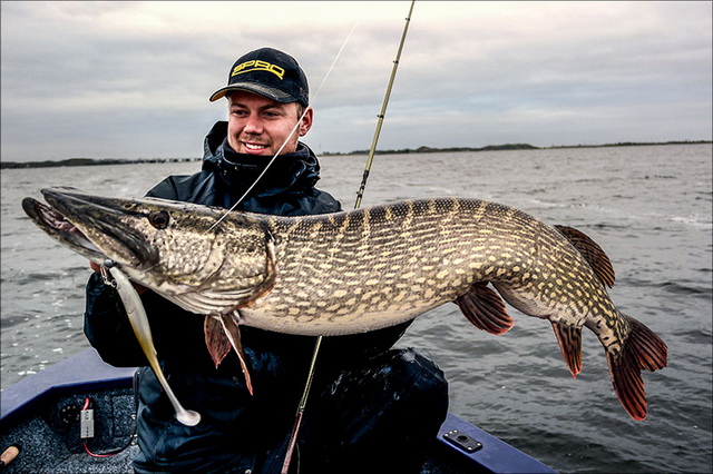 De Softbait Spiral Head is uitvoerig getest en daarbij goedgekeurd door onze specialisten…!