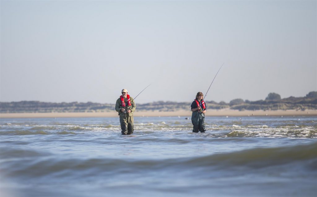 Zeebaarzen vanaf het strand