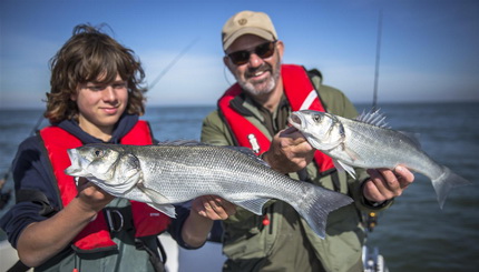 ZEEBAARZEN MET ZAGERS IN VIS TV