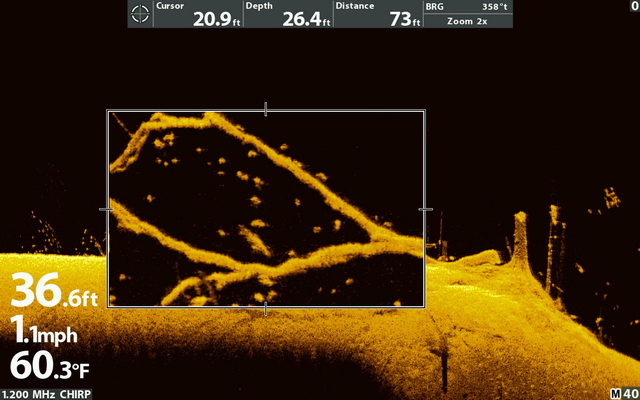 MEGA Down Imaging Plus boom met vis ingezoomd