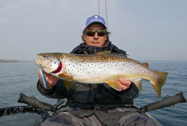 Bruine forel op de Westin Goby in 14 grams uitvoering.