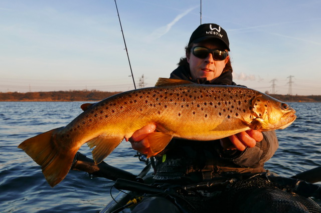 en beste Bruine forel van 63 cm in de vroege ochtend.