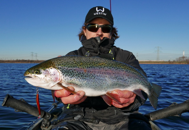 Mooie regenboogforel gevangen met een 12 grams Salty van Westin