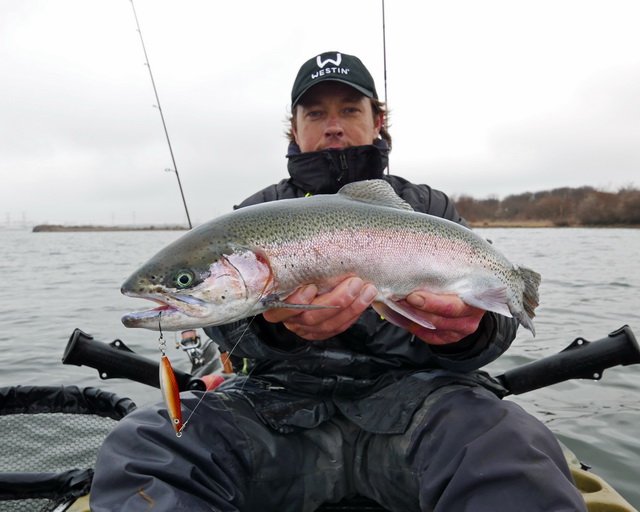 Afgelopen winter periode mijn favoriet voor de werpende visserij op het ondiepe! De 12 grams Salty.