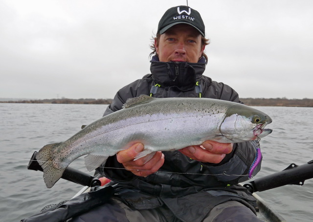 Medium size Regenboogforel werpend gevangen met de Westin Great Herron in 13 grams uitvoering.