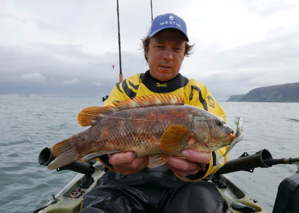 Kleinere Ballan Wrasse gevangen met Sandy Andy.