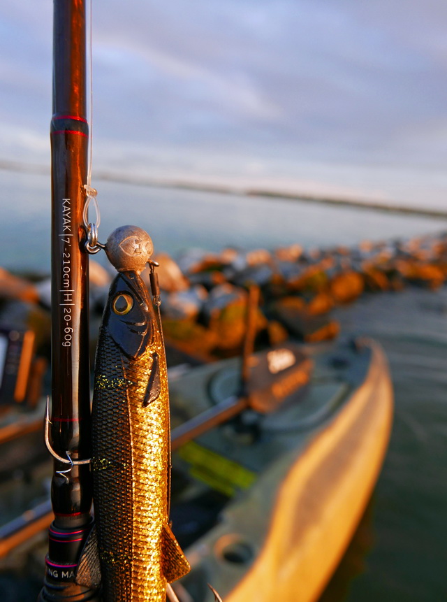 De nieuwe BullTeez (18 cm) kan prima werpend worden gevist met de W4 Kayak hengel. 