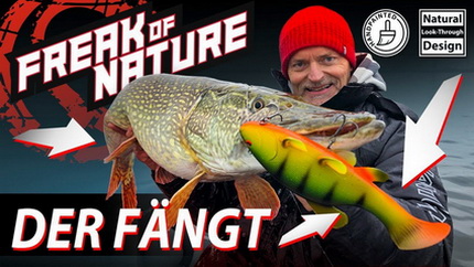 De Zeelt imitatie van Quantum. Freak of Nature Tench.