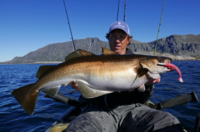 Absoluut onze nummer 1 als het gaat voor de werpende visserij op pollak en heilbot!! is de Sandy Andy van Westin in 62 en 82 gram.