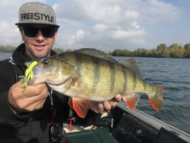 Geregeld gaan ook grote vissen voor de bijl dankzij deze kleine drijvende softbaits!