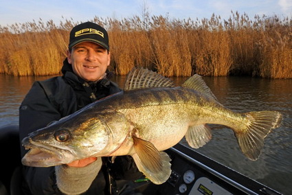 Diagonaal op grote snoekbaars