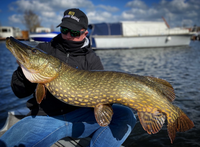 zonde terugbetaling Spanje Met jerkbaits op jacht naar grote snoeken in maart. - Roofvisweb.NL